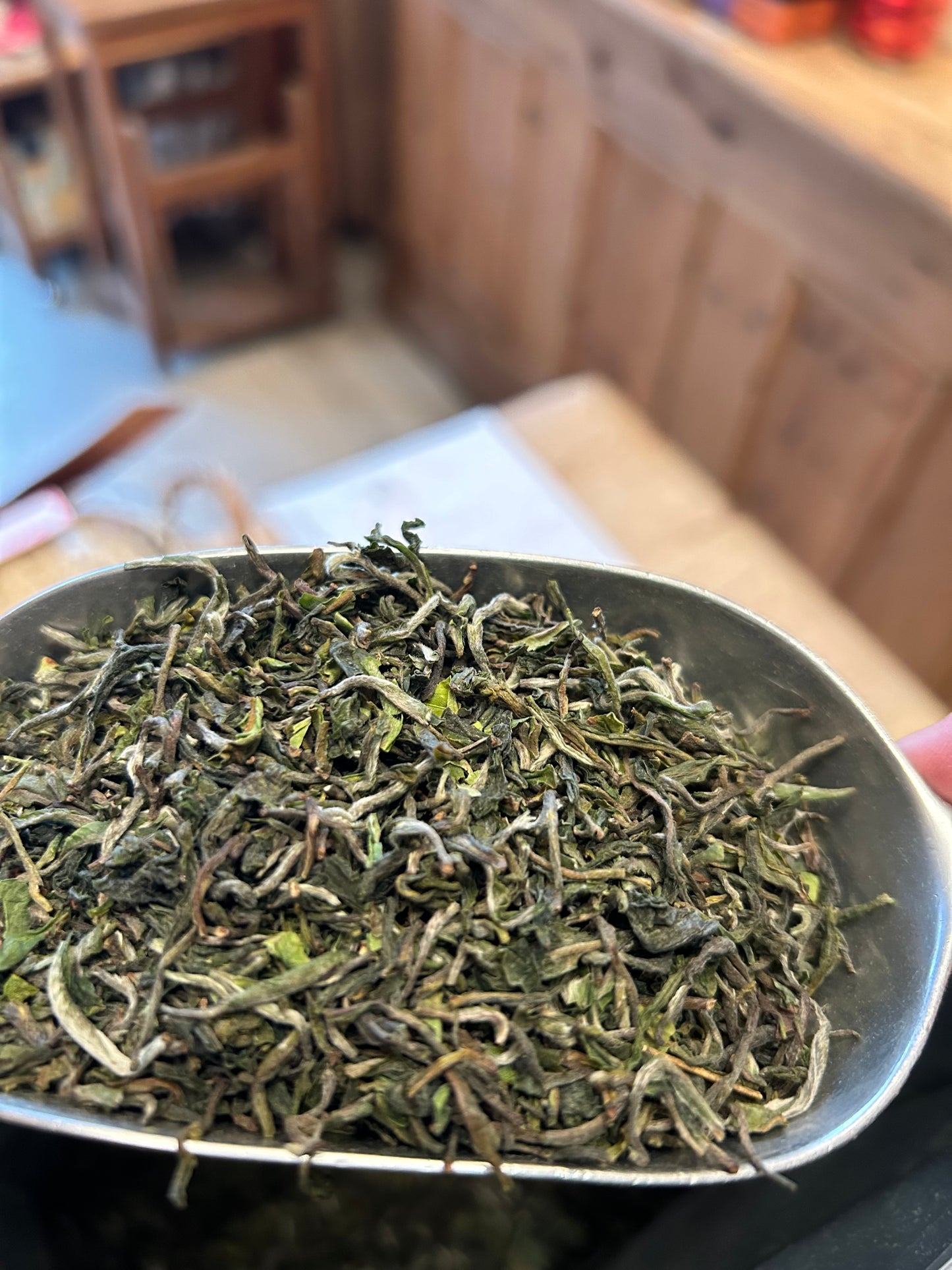 Darjeeling ff 2025 Puttabong