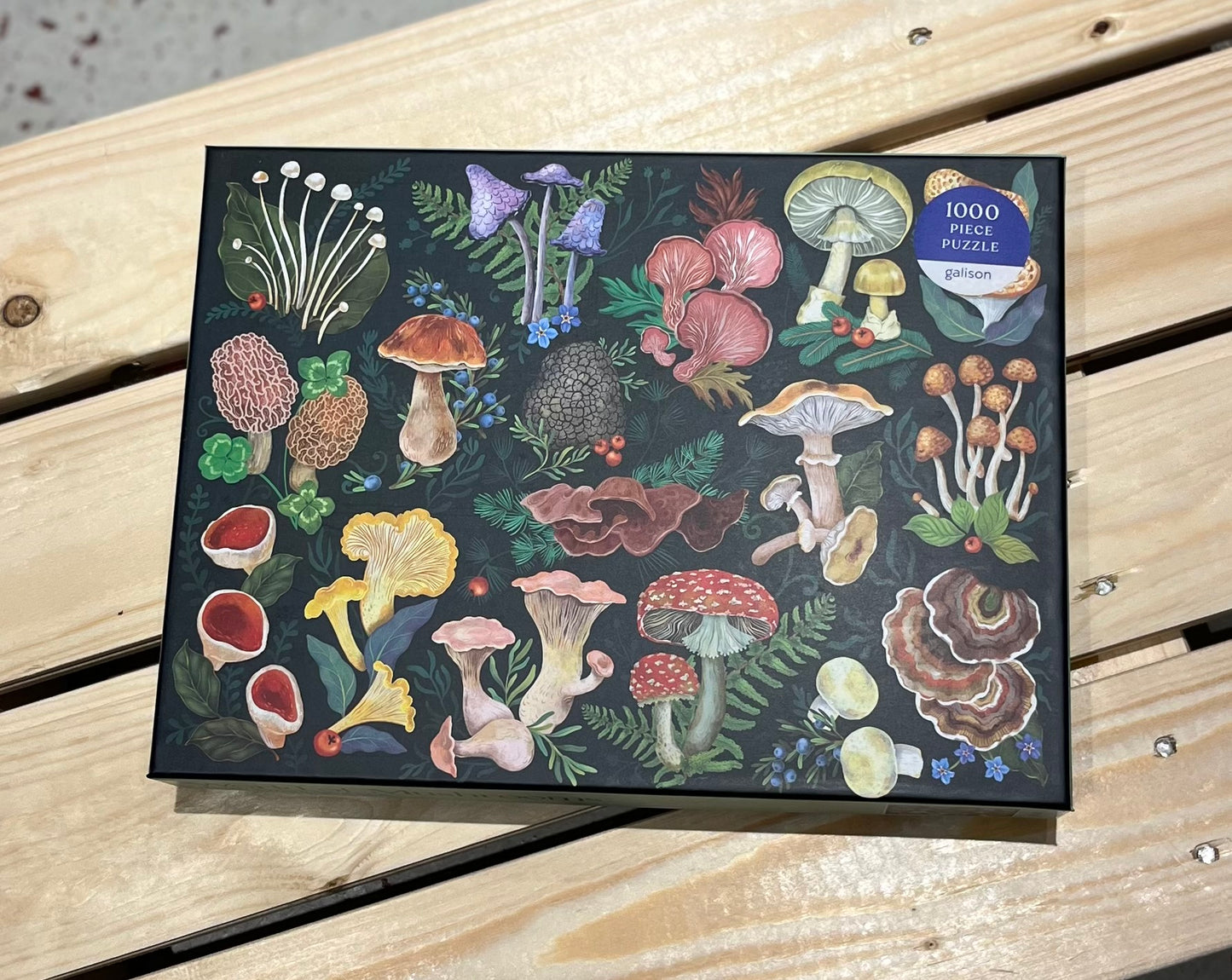 World of Mushrooms