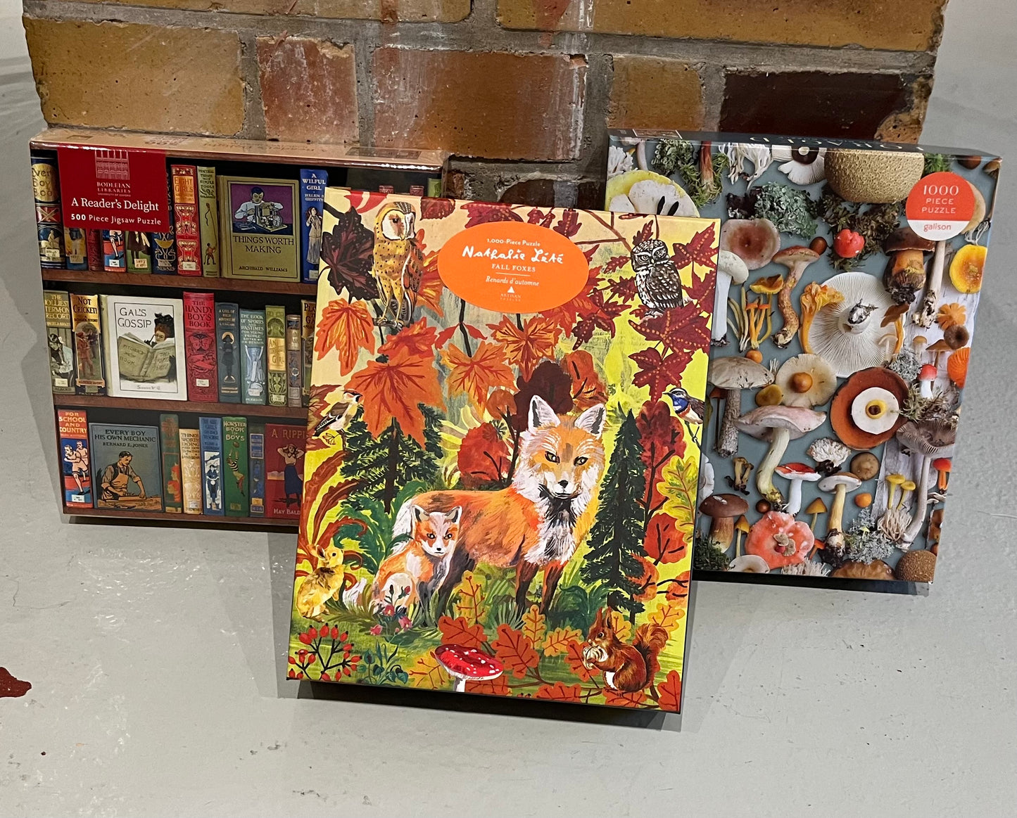 Fall Foxes