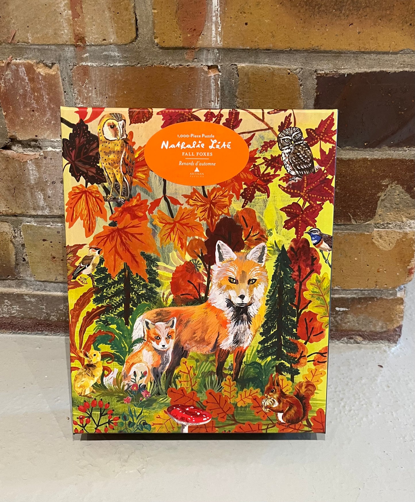 Fall Foxes