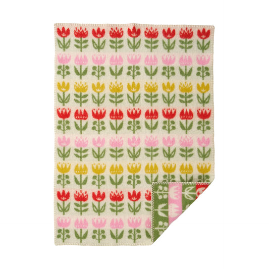 Tulip