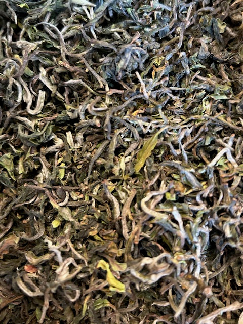 Darjeeling ff 2026 Balasun