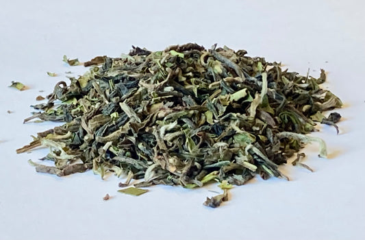Ekologisk Darjeeling first flush 2026 Steinthal