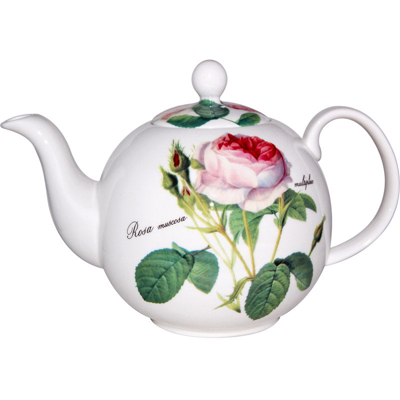 Gardenbird Roy Kirkham >Redoute rose