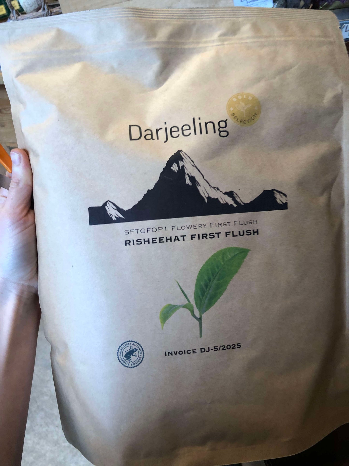 Darjeeling ff 2025 Risheehat